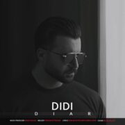دانلود آهنگ جدید محمد جواد دیار دیدی